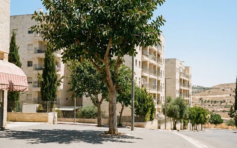 Illustration of Ramat Beit Shemesh Aleph