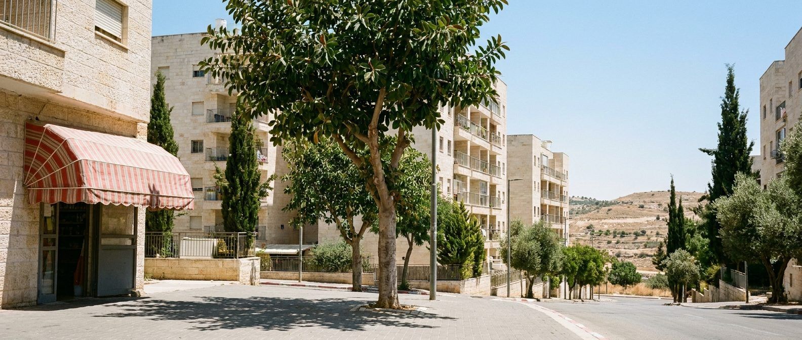 Illustration of Ramat Beit Shemesh Aleph